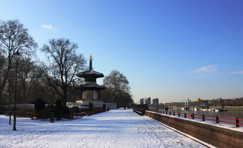 Balham carpet cleaning SW12 cleaners