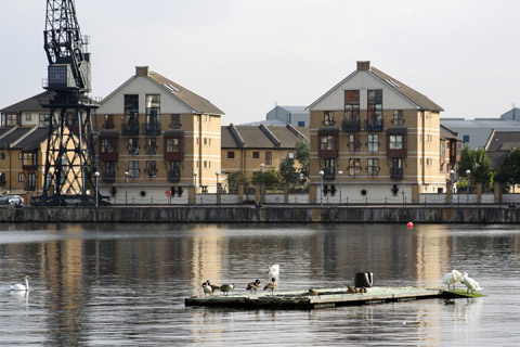 Bow carpet cleaning E3 cleaners