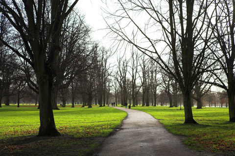 N4 cleaners Finsbury Park carpet cleaning