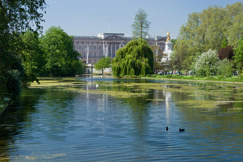 St. James's carpet cleaning SW1Y cleaners