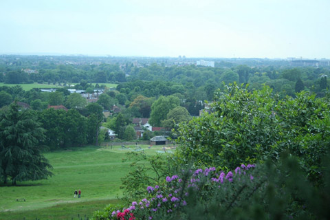 SW20 cleaners West Wimbledon carpet cleaning