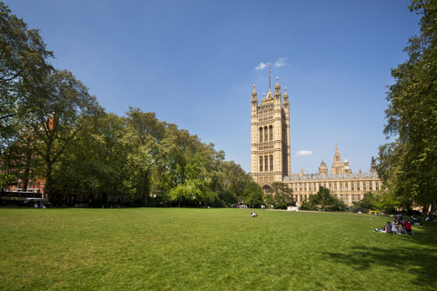 W1 cleaners Westminster carpet cleaning